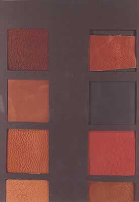 Presentation Drawings