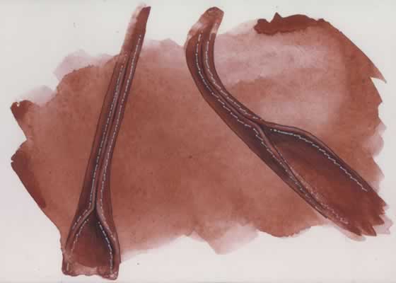 Presentation Drawings